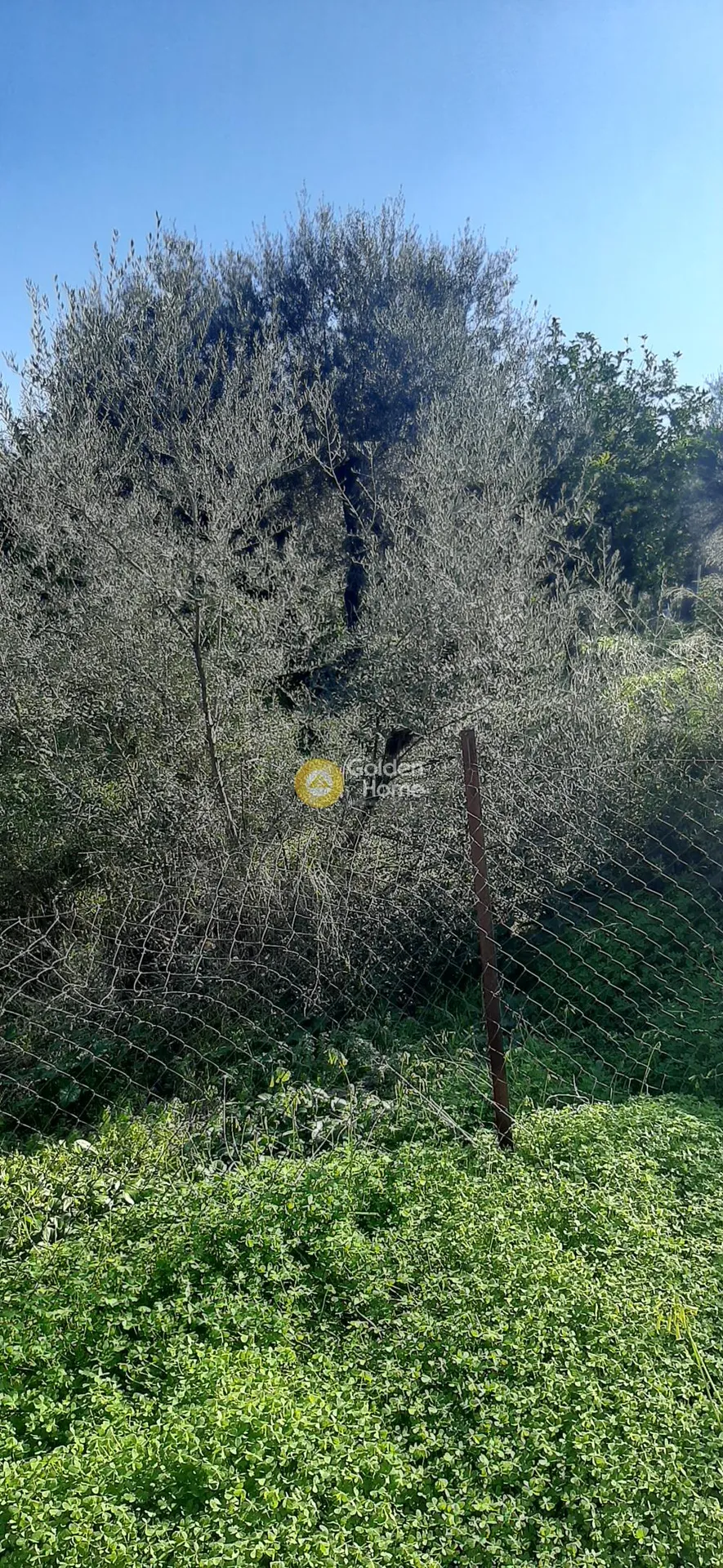 Land Parcel 1607m²  - 5