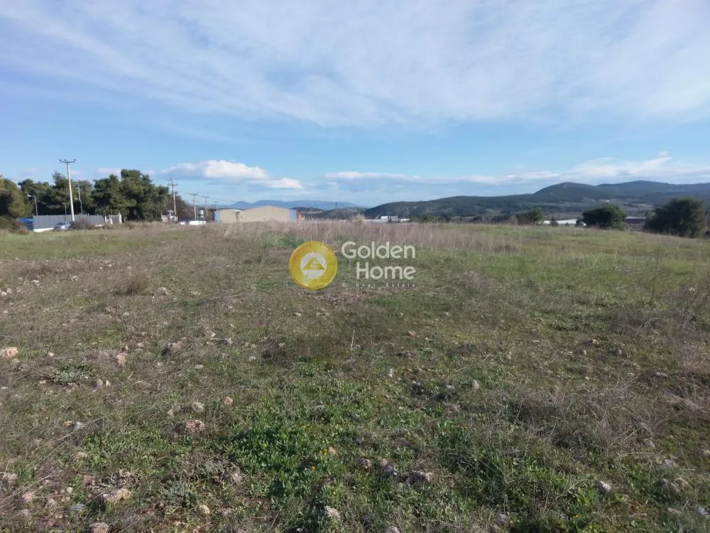 Other .. 10000m²  - 2
