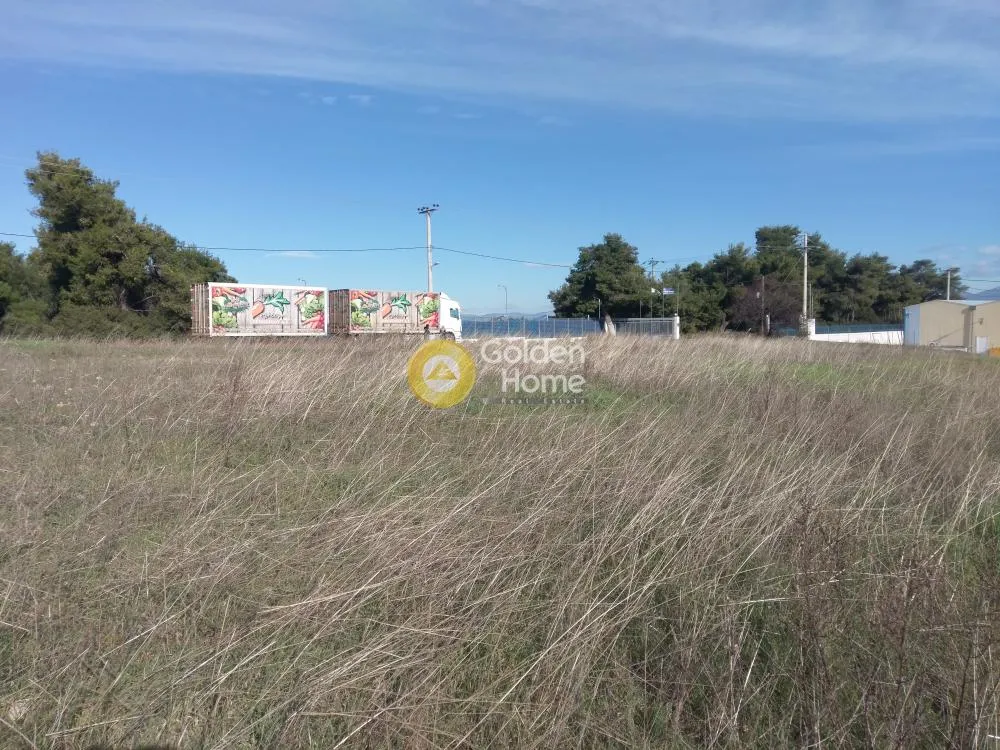 Other .. 10000m²  - 4