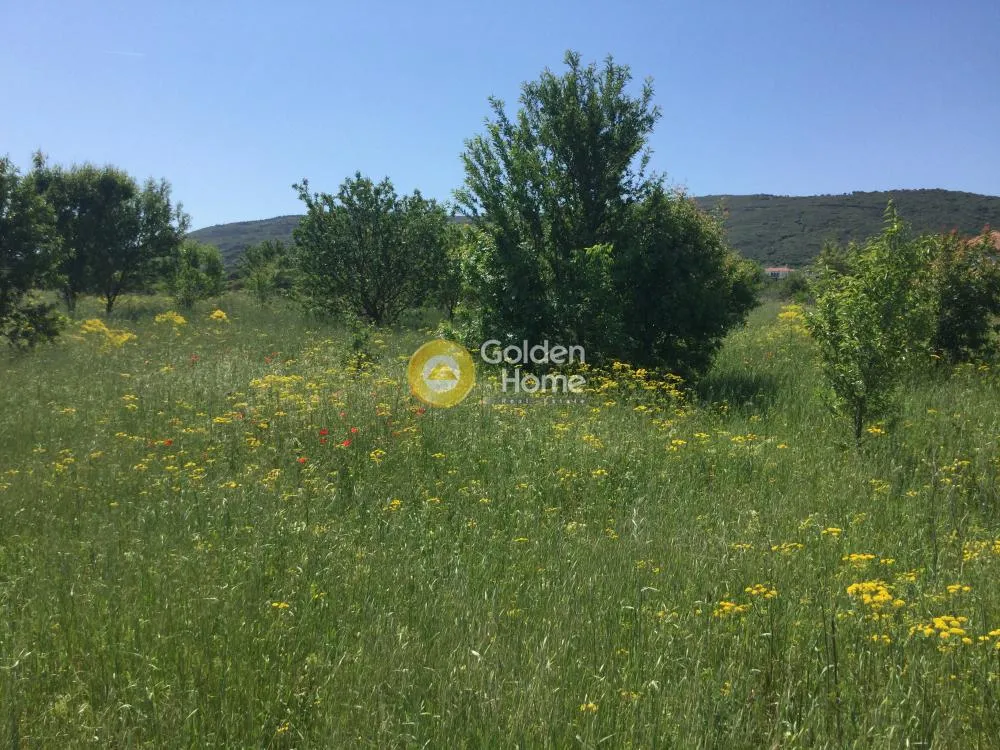 Αγροτεμάχιο 4606τ.μ.  - 3