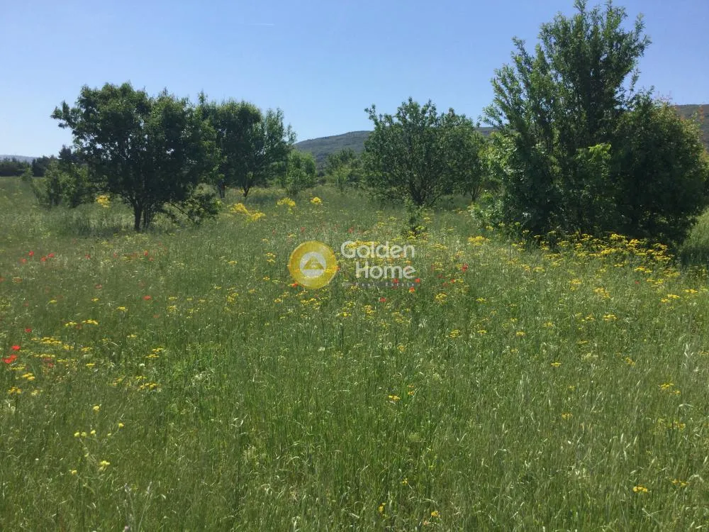 Αγροτεμάχιο 4606τ.μ.  - 4