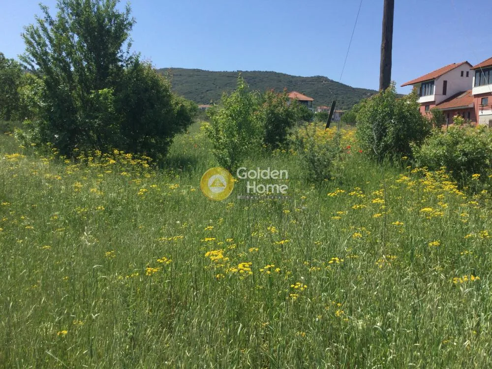 Αγροτεμάχιο 4606τ.μ.  - 5