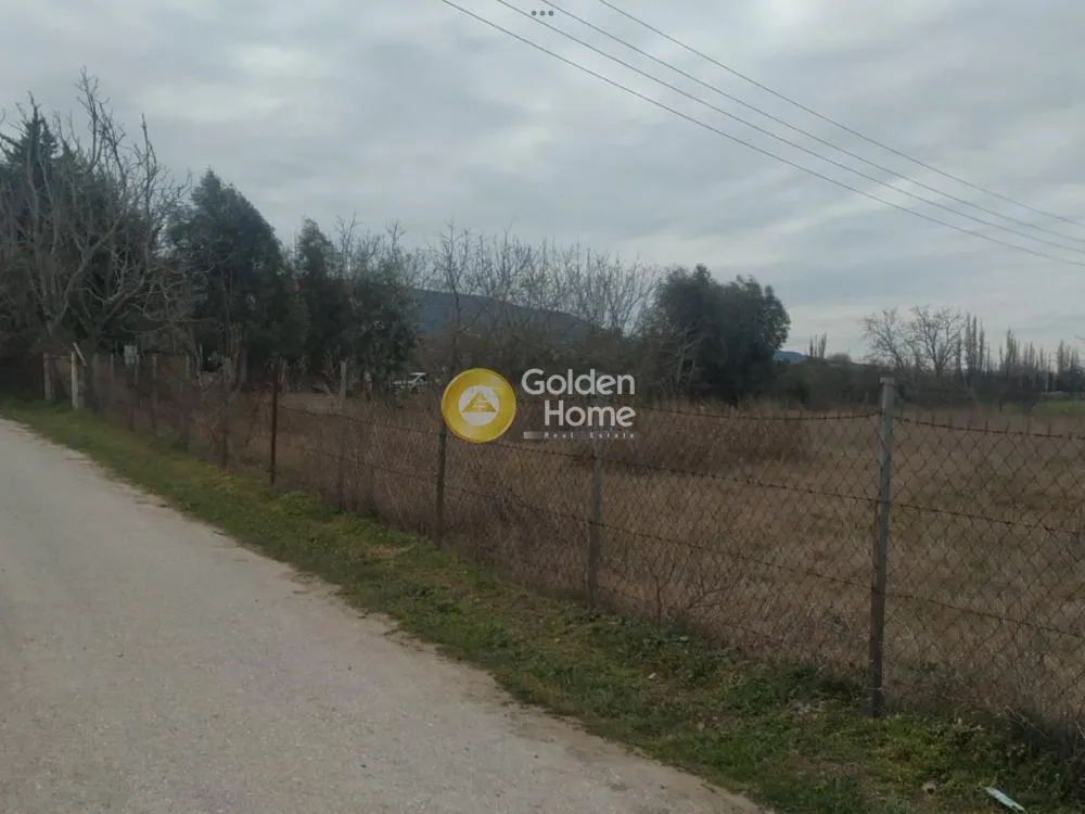 Αγροτεμάχιο 3200τ.μ.  - 3
