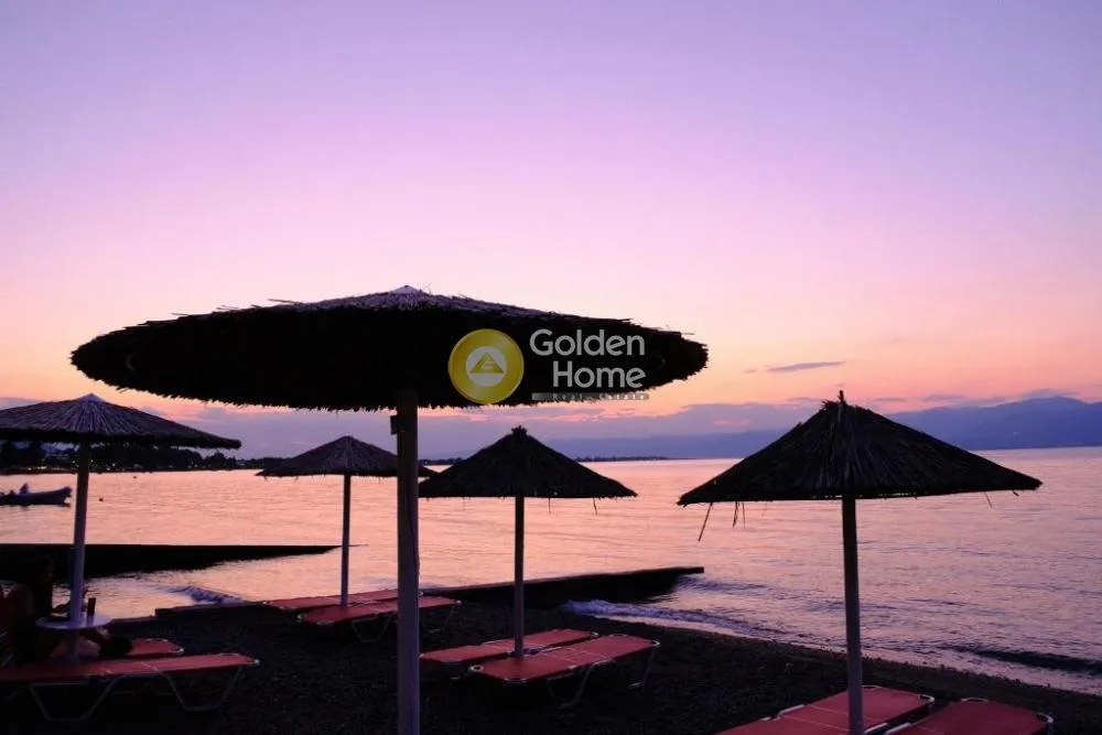 Other ..  360m²  - 3