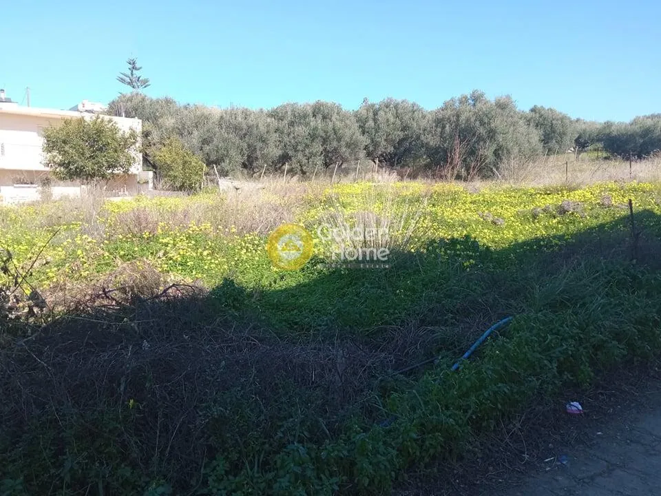 Οικόπεδο 700τ.μ.  - 3