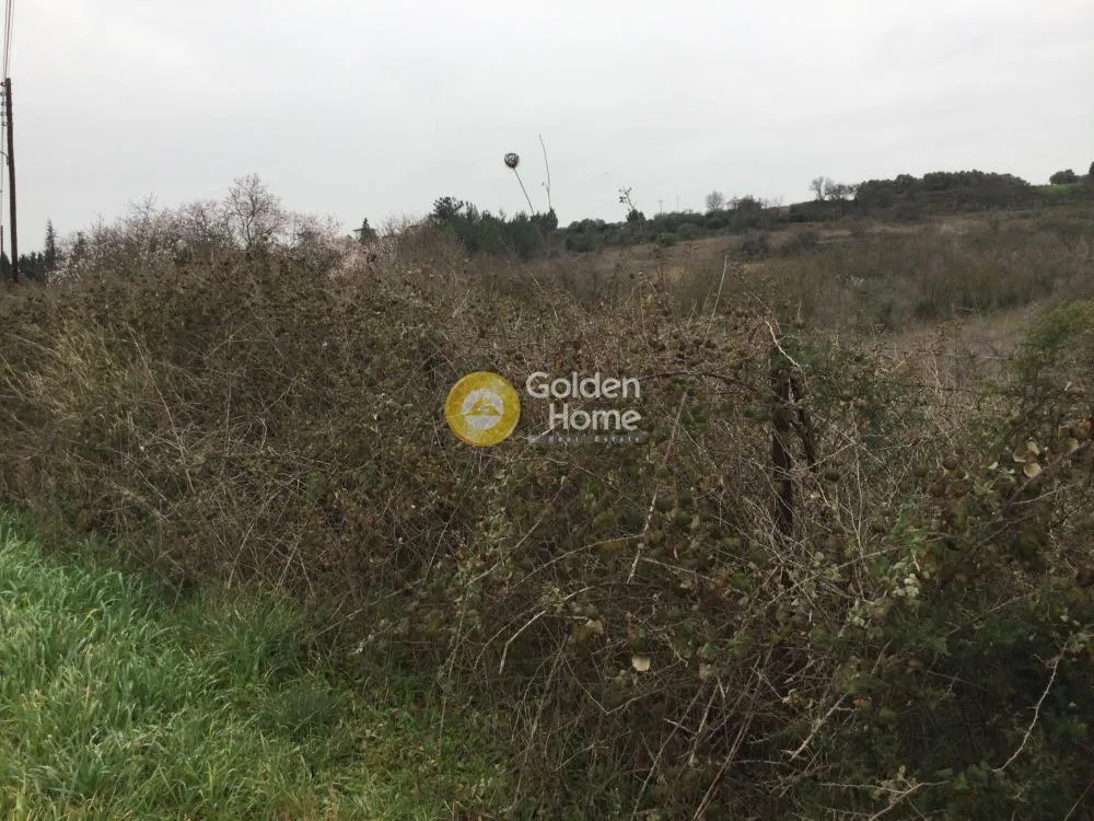 Land Parcel 9212m²  - 2
