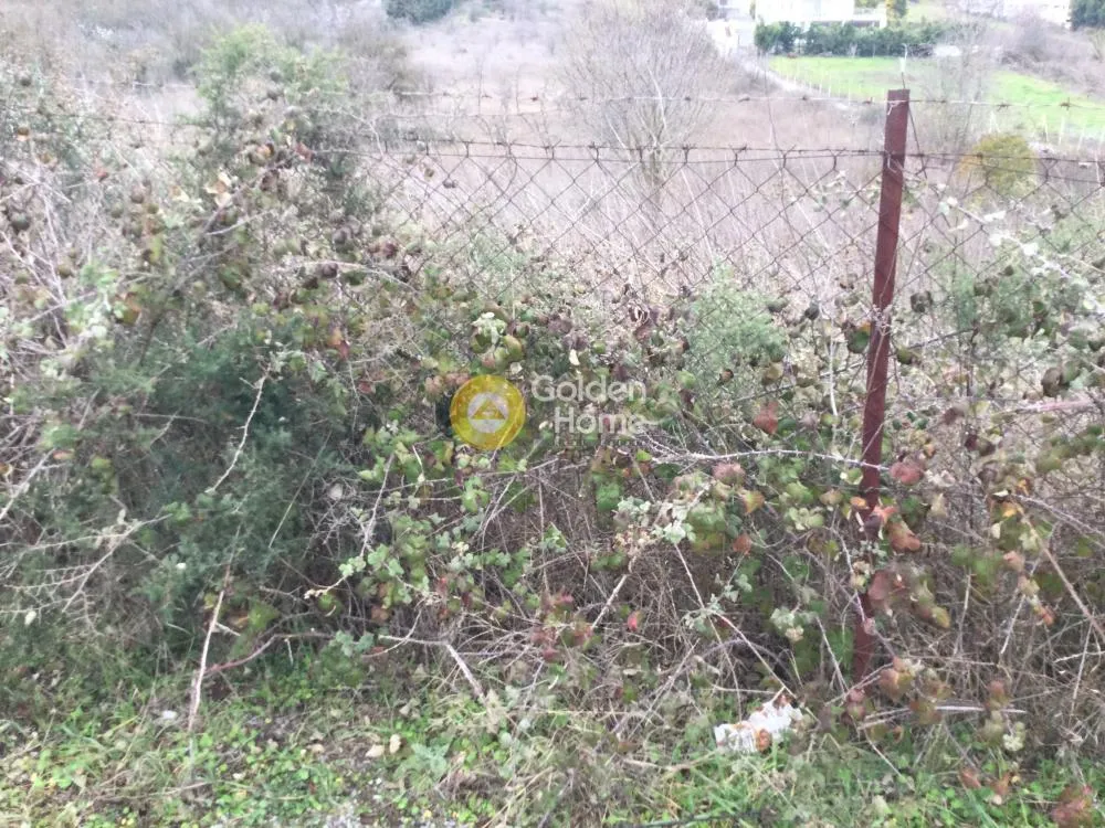 Land Parcel 9212m²  - 4