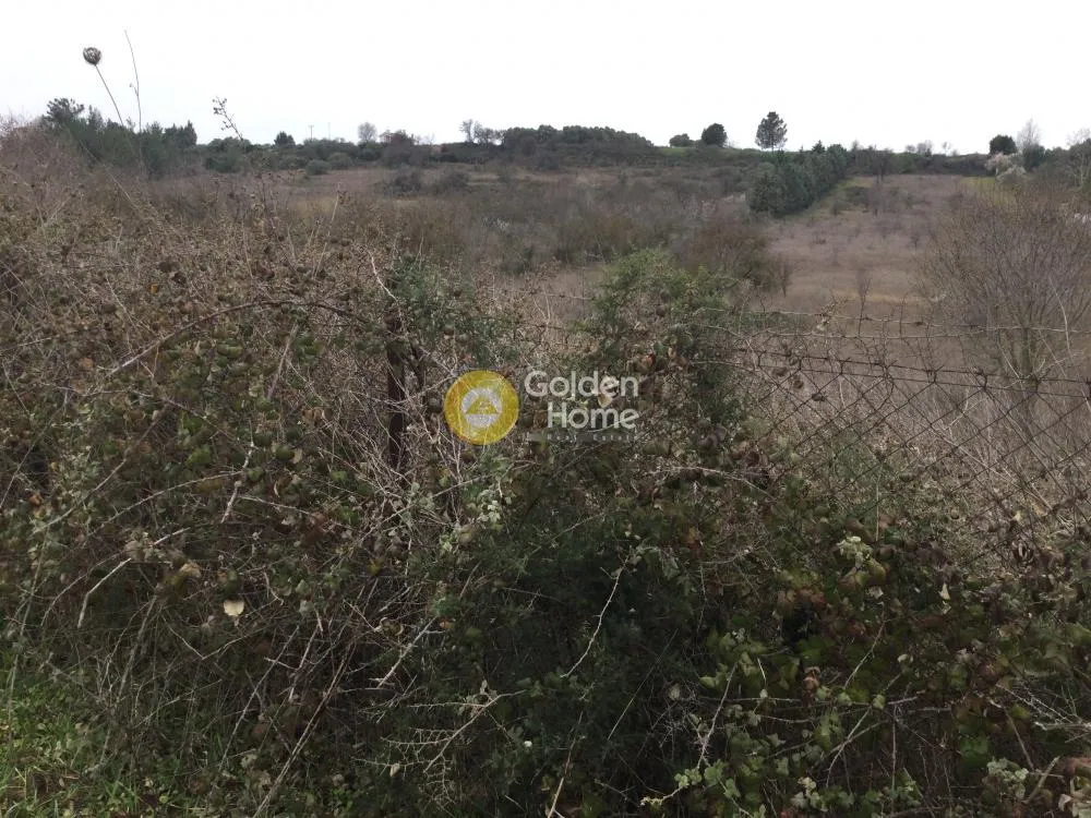 Land Parcel 9212m²  - 5