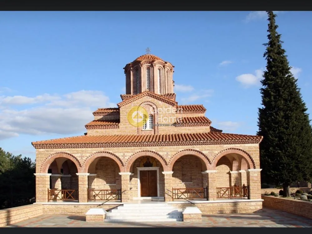Αγροτεμάχιο 4000τ.μ.  - 3