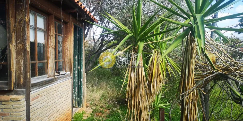 Αγροτεμάχιο 343τ.μ.  - 2