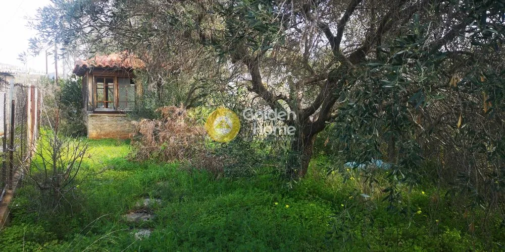Αγροτεμάχιο 343τ.μ.  - 3