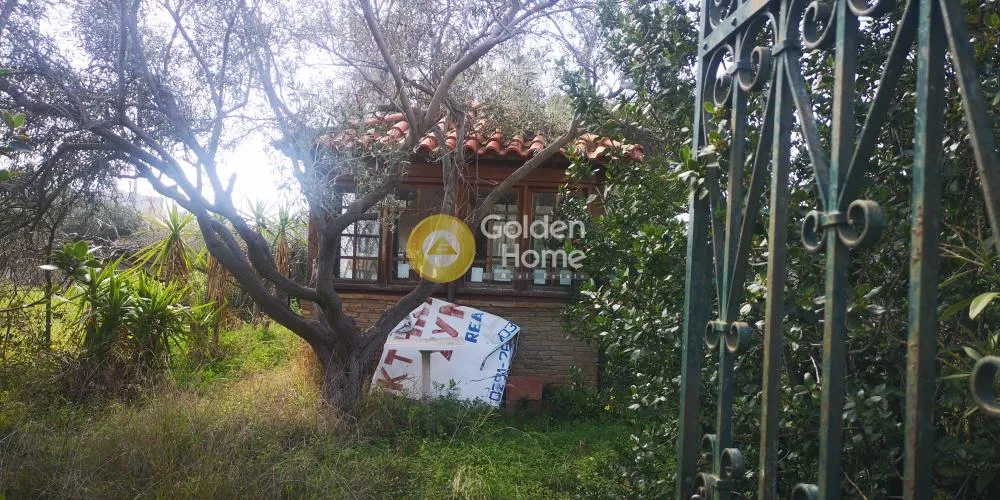 Αγροτεμάχιο 343τ.μ.  - 5