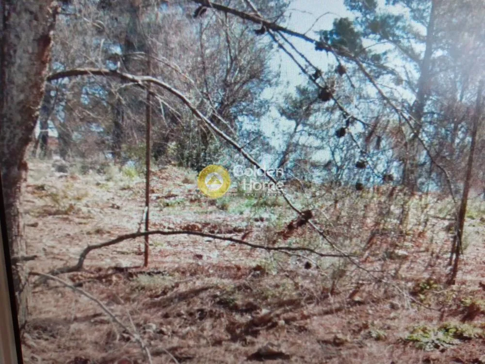 Αγροτεμάχιο 2321τ.μ.  - 2