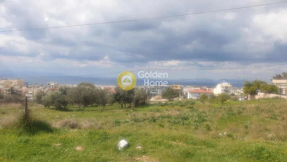 Land Parcel 250m²  - 2