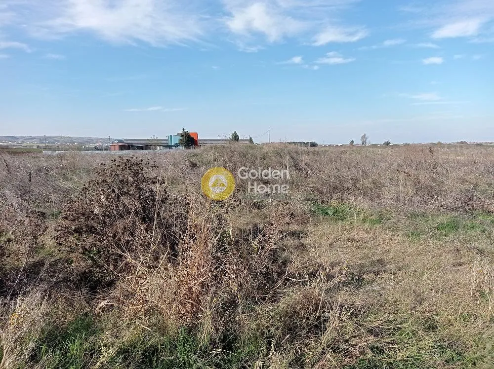 Αγροτεμάχιο 4151τ.μ.  - 3