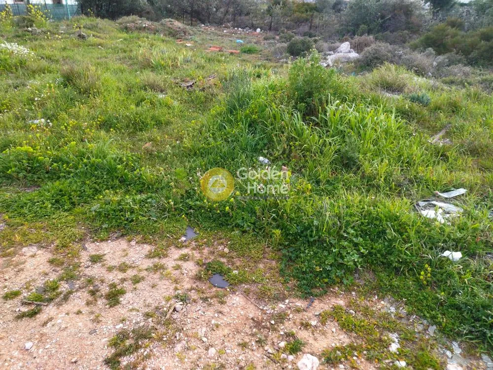 Αγροτεμάχιο 232τ.μ.  - 3