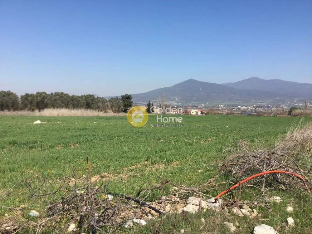 Αγροτεμάχιο 7714τ.μ.  - 3