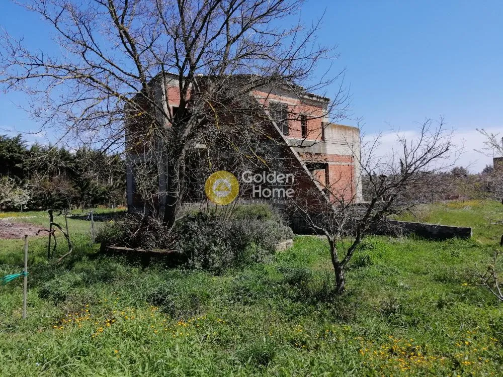 Detached house 340m²  - 4