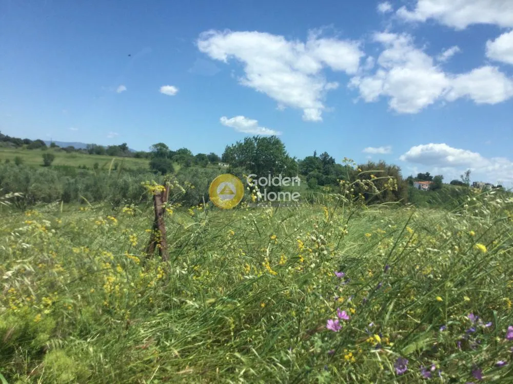 Land Parcel 4034m²  - 2