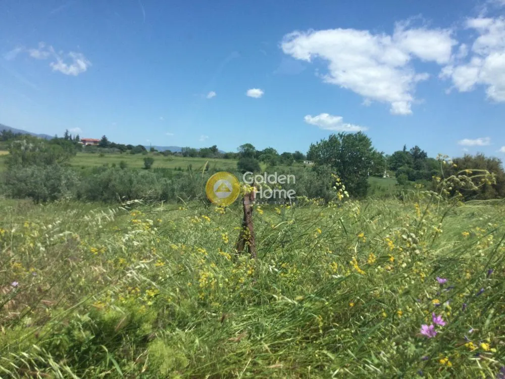 Land Parcel 4034m²  - 3