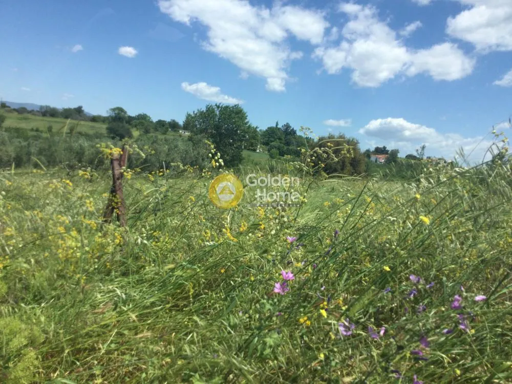 Land Parcel 4034m²  - 4