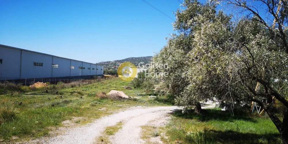 Άλλο.. 6800τ.μ.  - 2