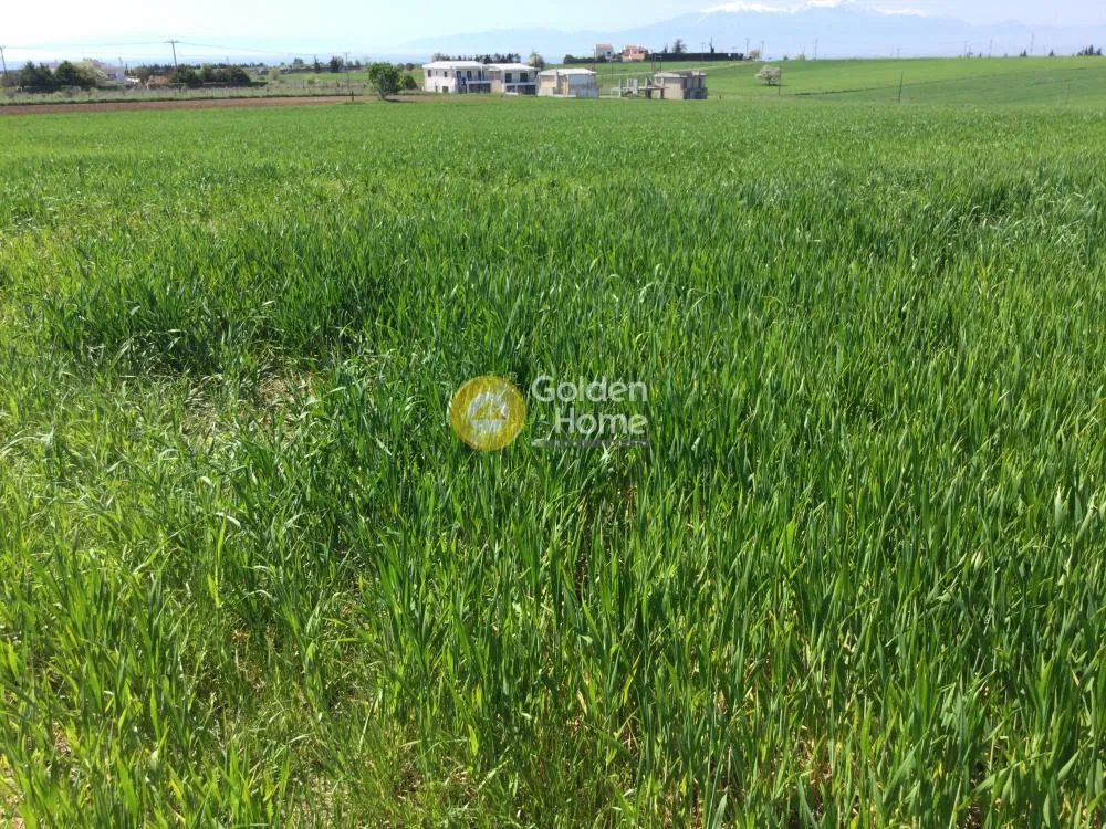 Land Parcel 10500m²  - 2
