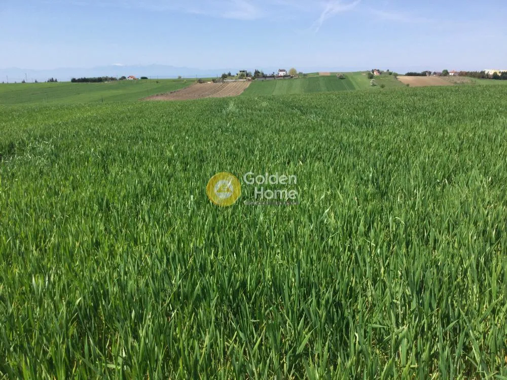 Land Parcel 10500m²  - 3