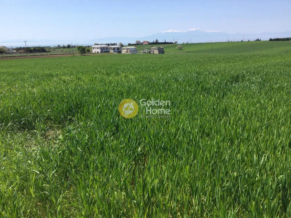 Land Parcel 10500m²  - 4