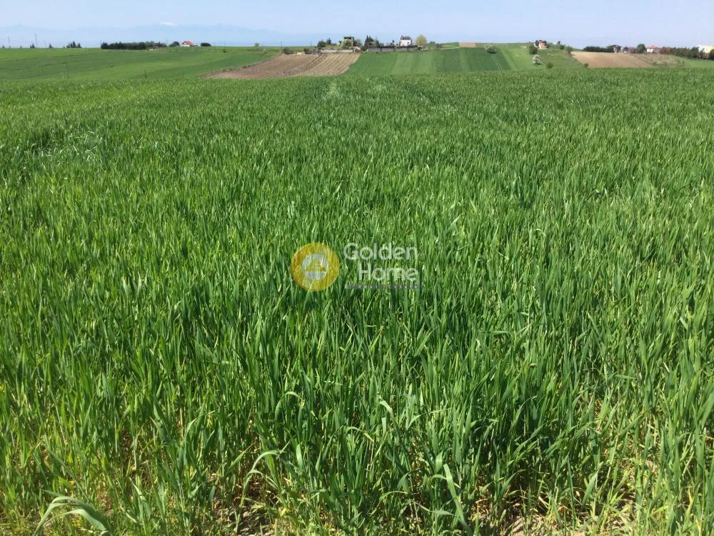 Land Parcel 10500m²  - 5