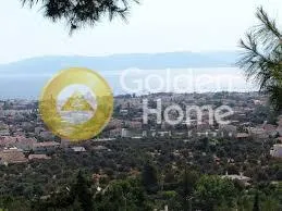 Άλλο.. 2046τ.μ.  - 3