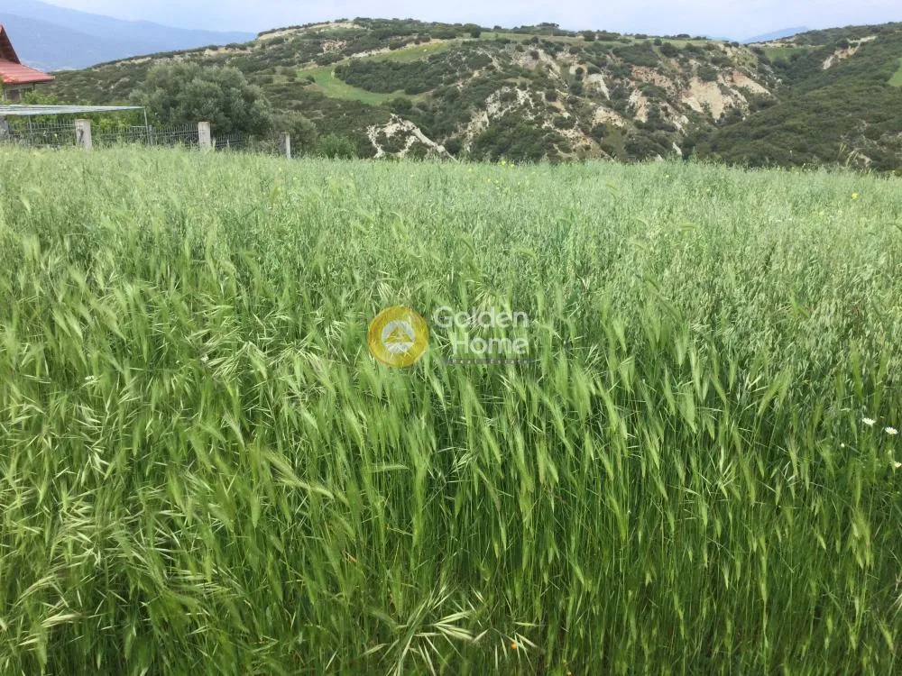 Αγροτεμάχιο 6626τ.μ.  - 2