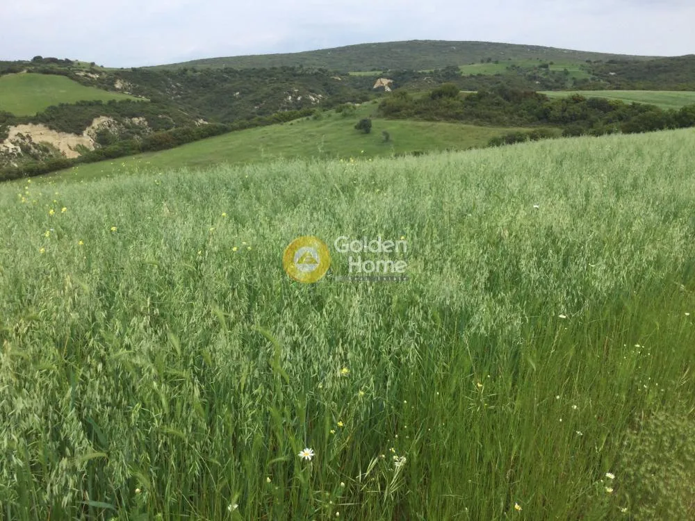 Αγροτεμάχιο 6626τ.μ.  - 4