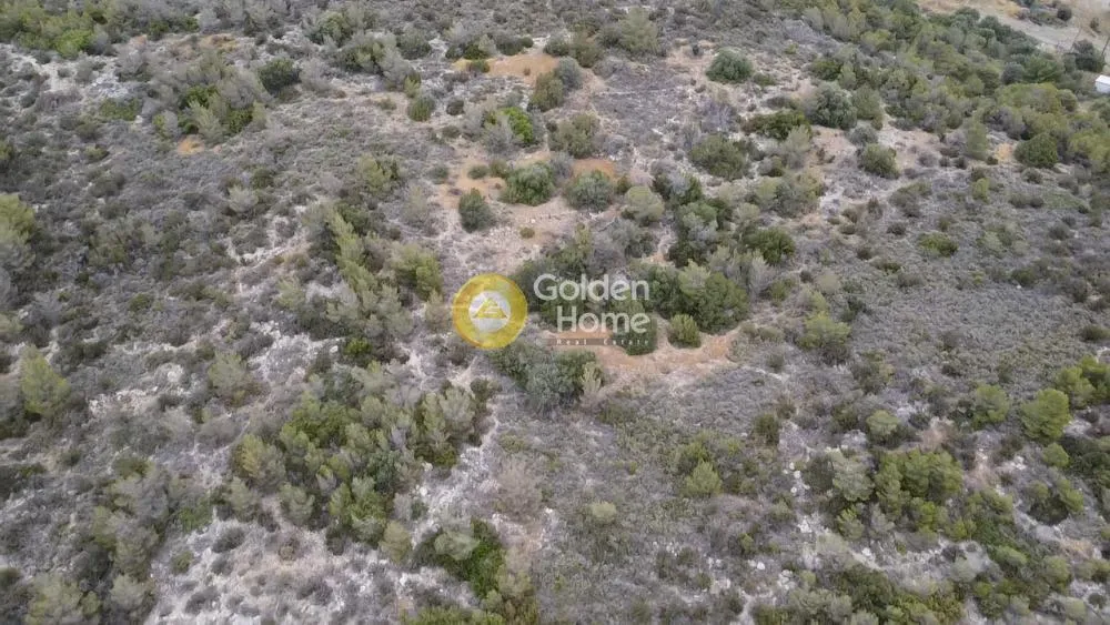 Land Parcel 74000m²  - 2