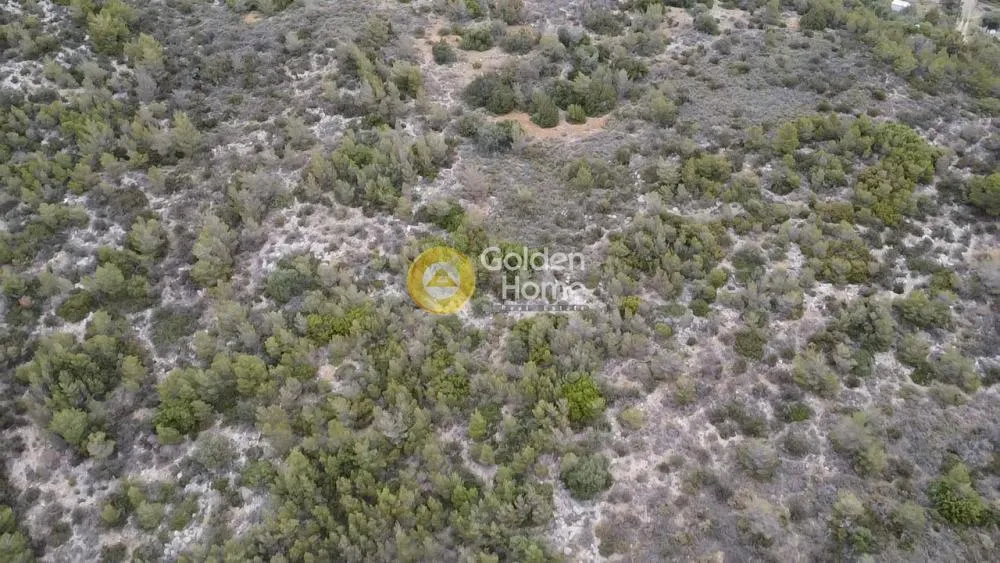 Land Parcel 74000m²  - 3