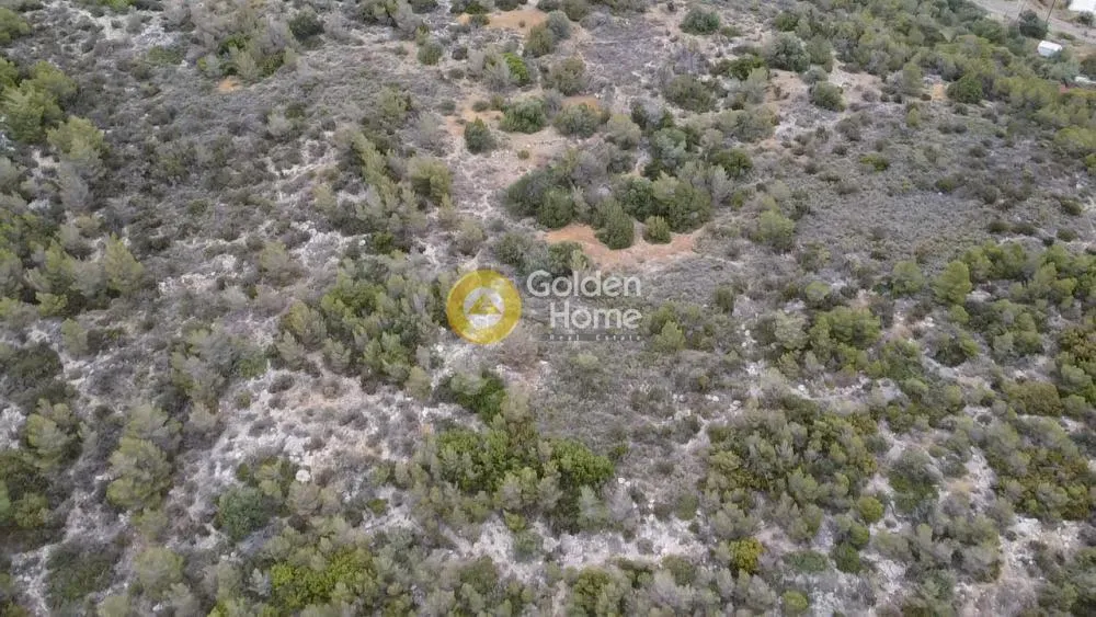 Land Parcel 74000m²  - 4