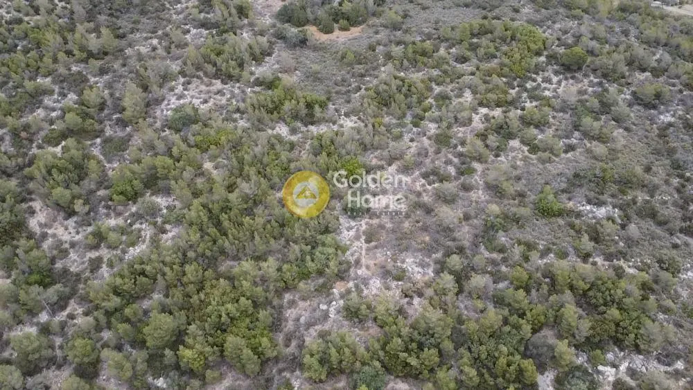 Land Parcel 74000m²  - 5
