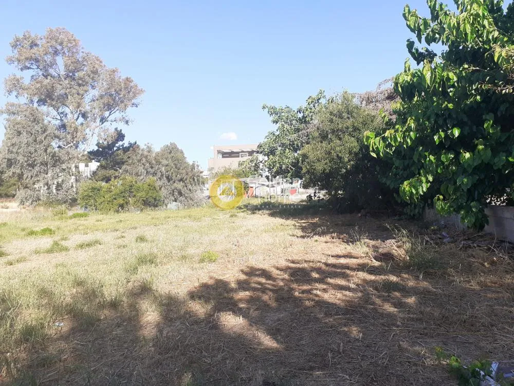 Other .. 980m²  - 2