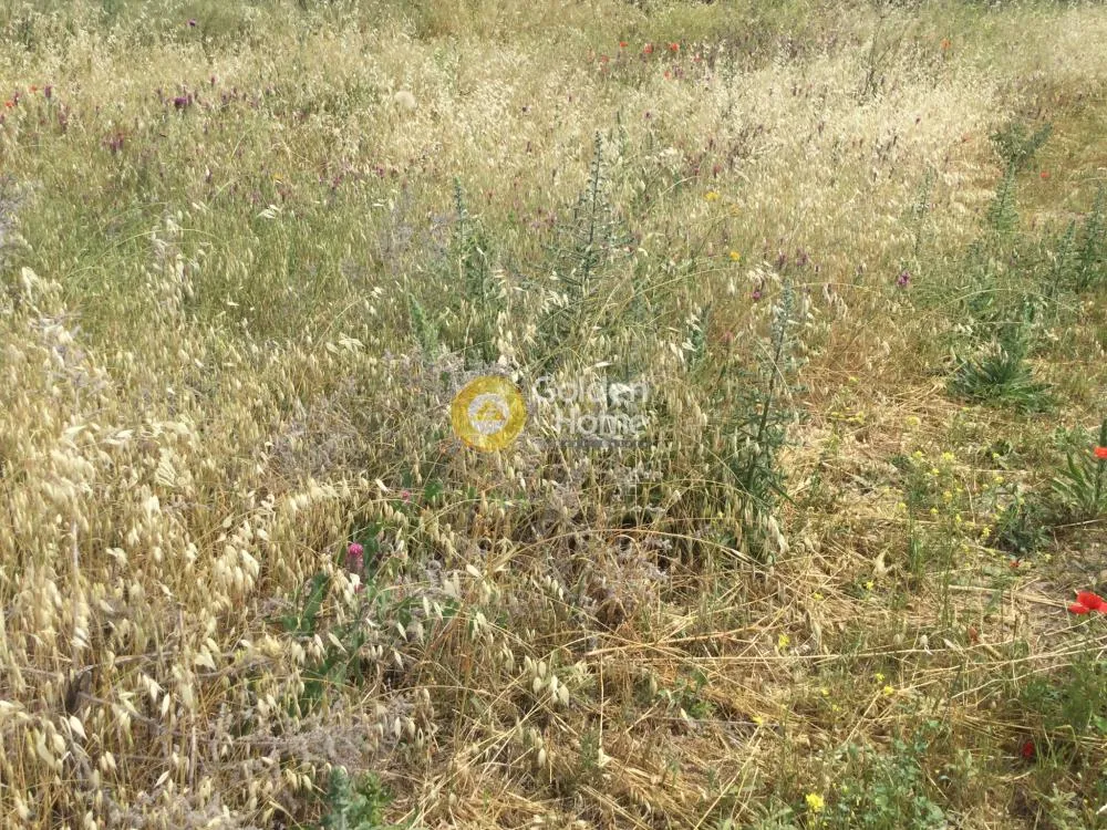 Land Parcel 2990m²  - 2