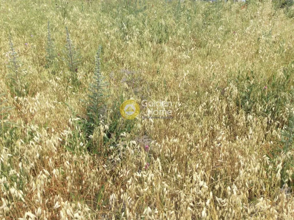 Land Parcel 2990m²  - 3