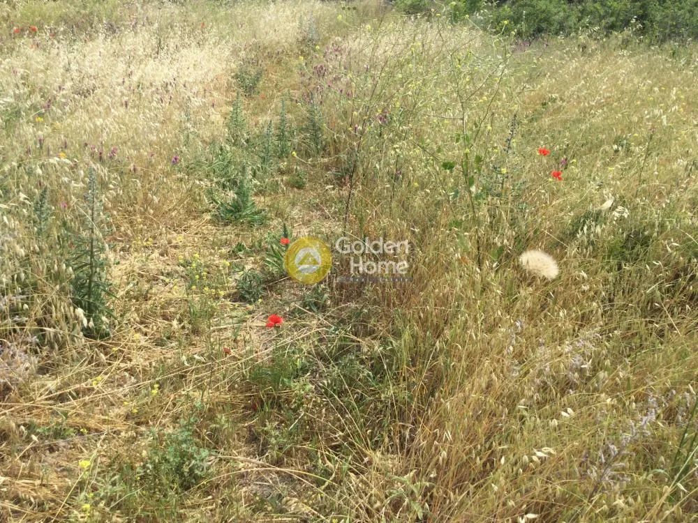 Land Parcel 2990m²  - 4