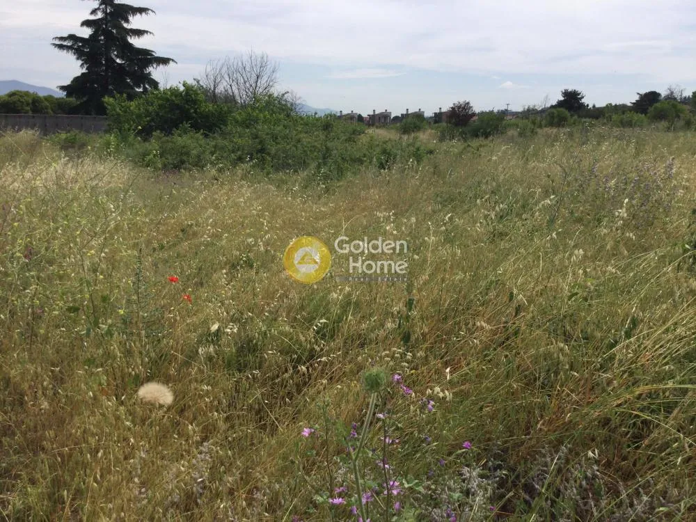 Land Parcel 2990m²  - 5