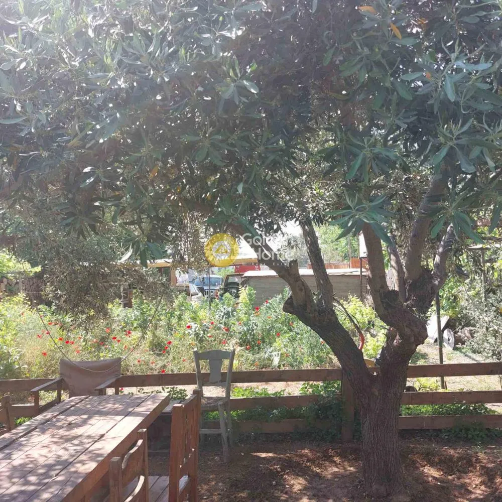 Αγροτεμάχιο 1493τ.μ.  - 4