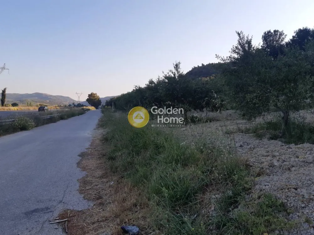 Αγροτεμάχιο 4250τ.μ.  - 5