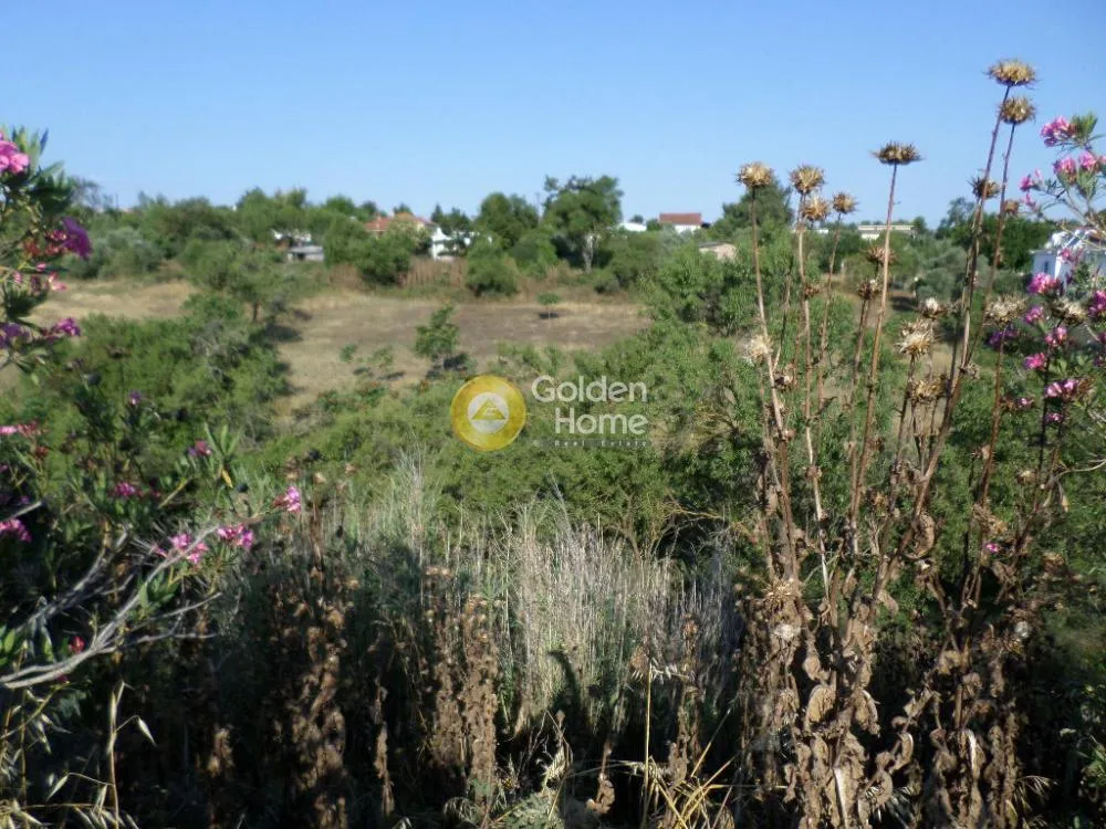 Land Parcel 4875m²  - 2