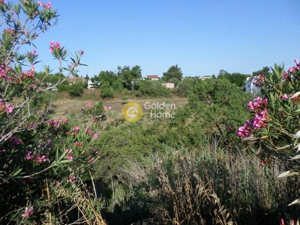 Land Parcel 4875m²  - 3
