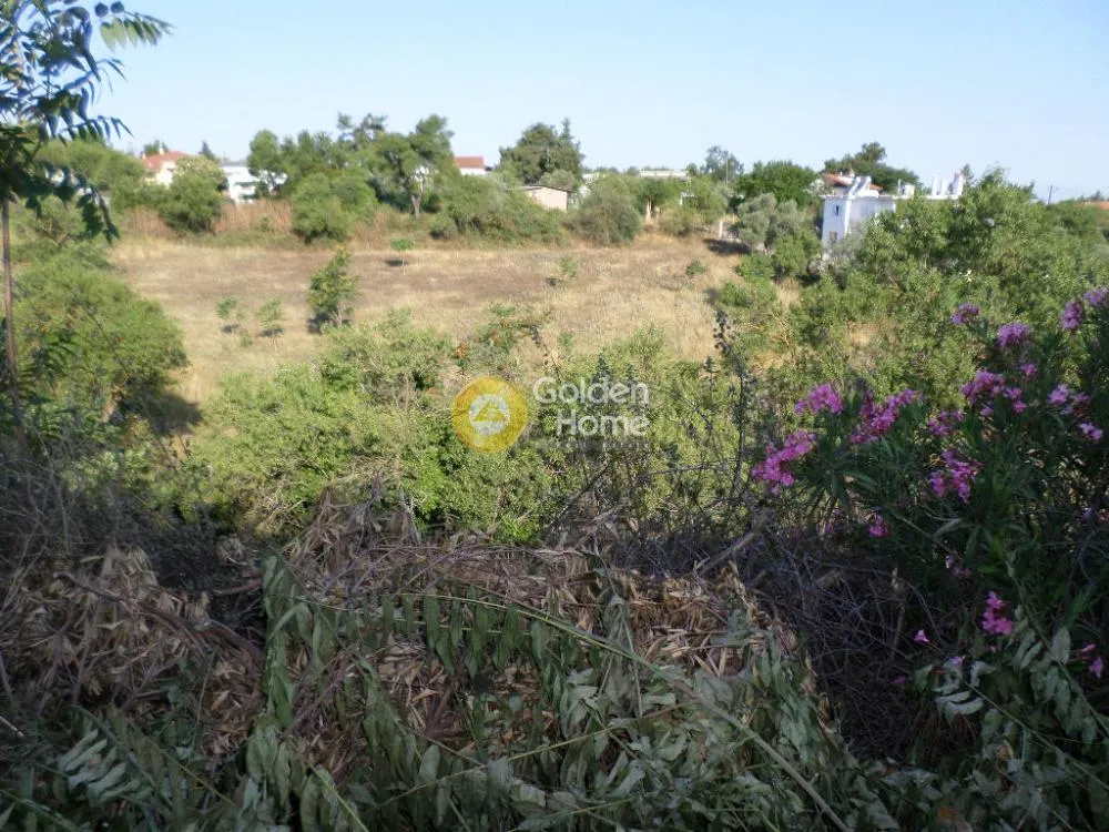 Land Parcel 4875m²  - 5