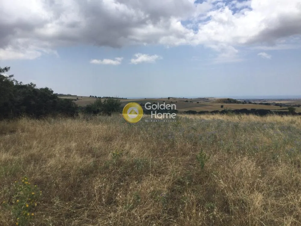 Land Parcel 5007m²  - 2