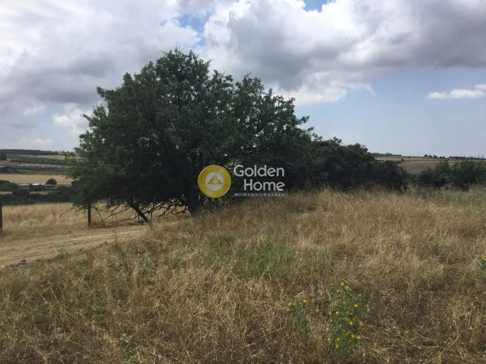 Land Parcel 5007m²  - 4