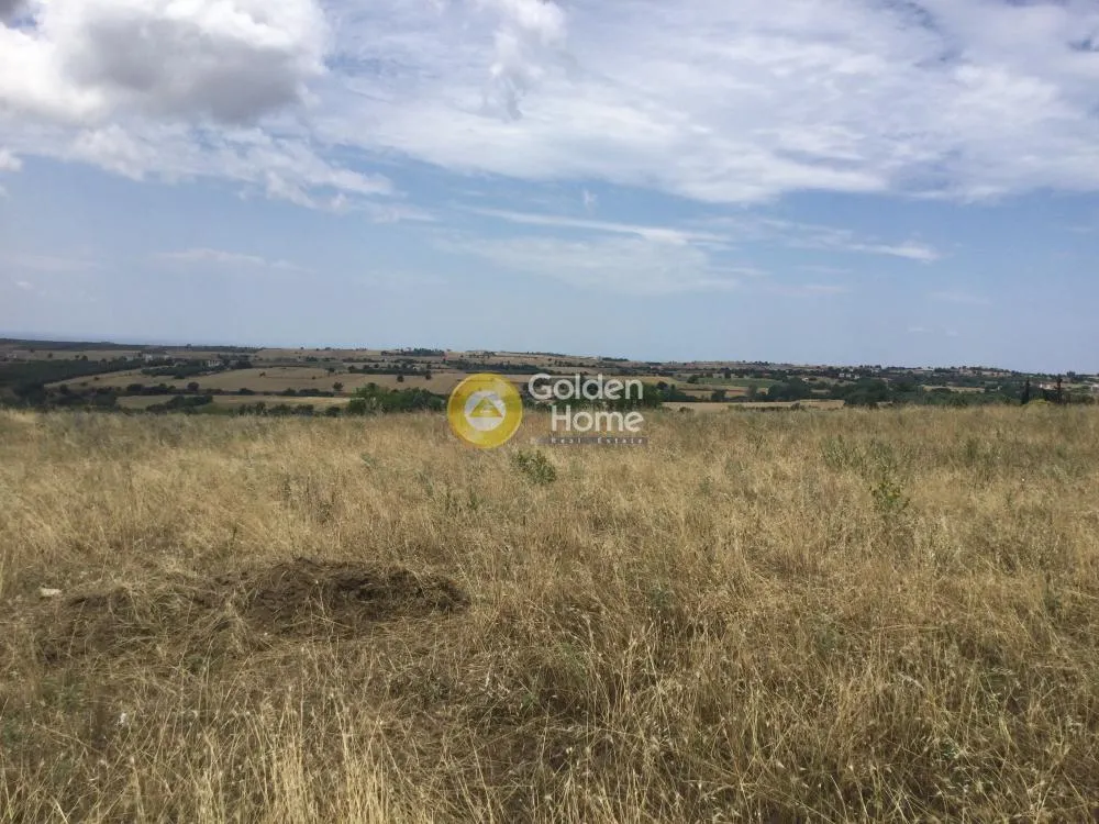 Land Parcel 5007m²  - 5